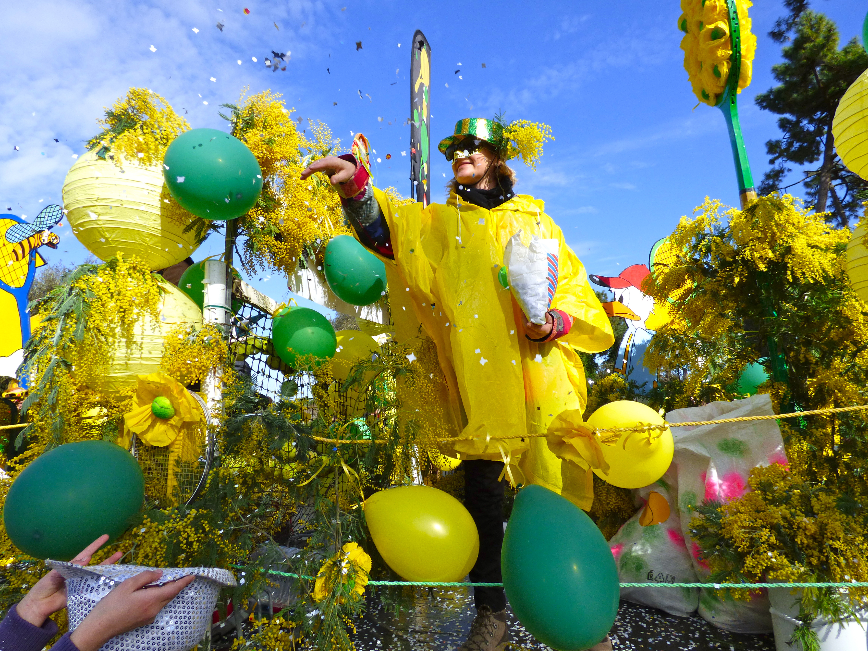 Fête du Mimosa