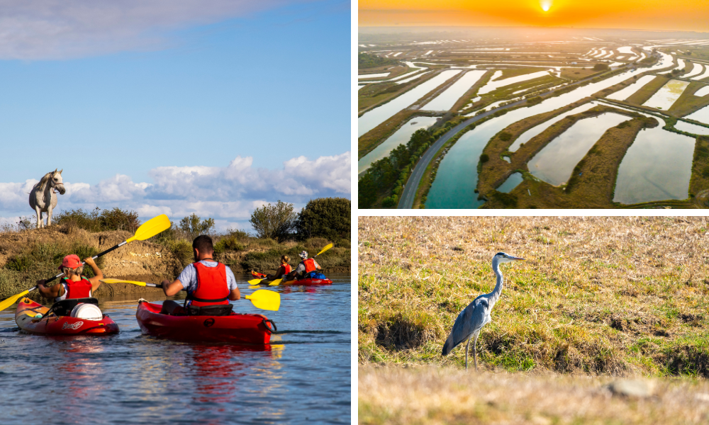 Kayak en famille sur l'île d'Oléron