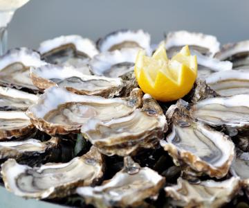 Oesters uit Marennes-Oléron