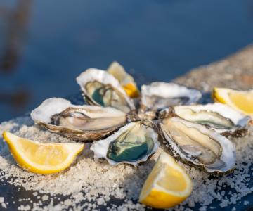 Oester- en visbars île d'Oléron Marennes