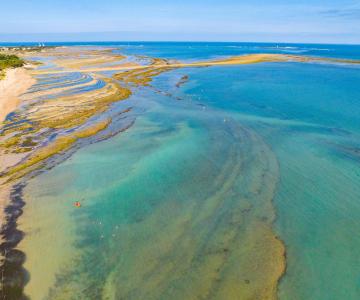 Plages de l'île d'Oléron et du bassin de Marennes