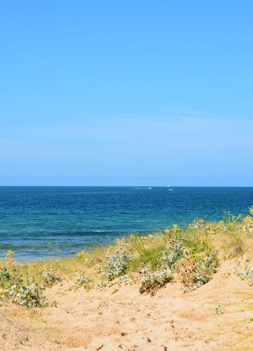 Webcam plage de la Perroche, île d'Oléron