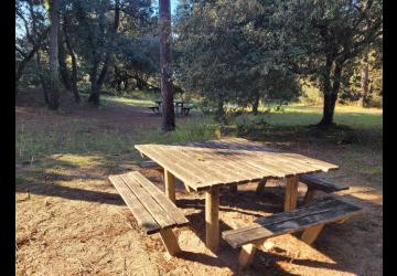 Aire de pique-nique - forêt domaniale_Le Grand-Village-Plage