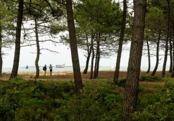 Chemin d'Oléron