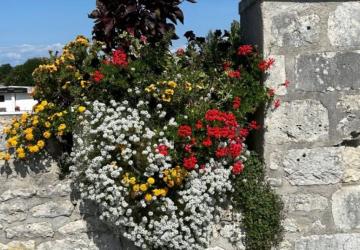 Visite commentée du cimetière - Journées européennes du patrimoine