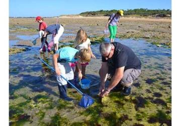 Pêche à pied écologique