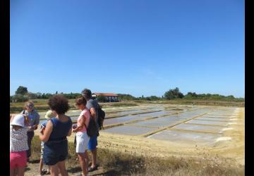 Atelier en famille - Les explorateurs du marais_Le Grand-Village-Plage